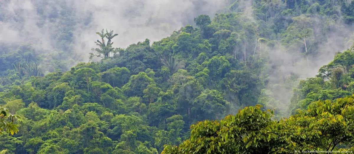 Equador inicia extração de petróleo com fracking na Amazônia