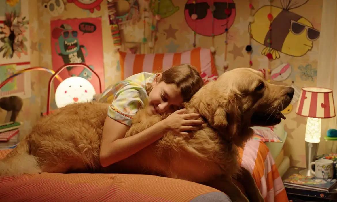 Festival de cinema BIFF 2026 divulga programação e selecionados