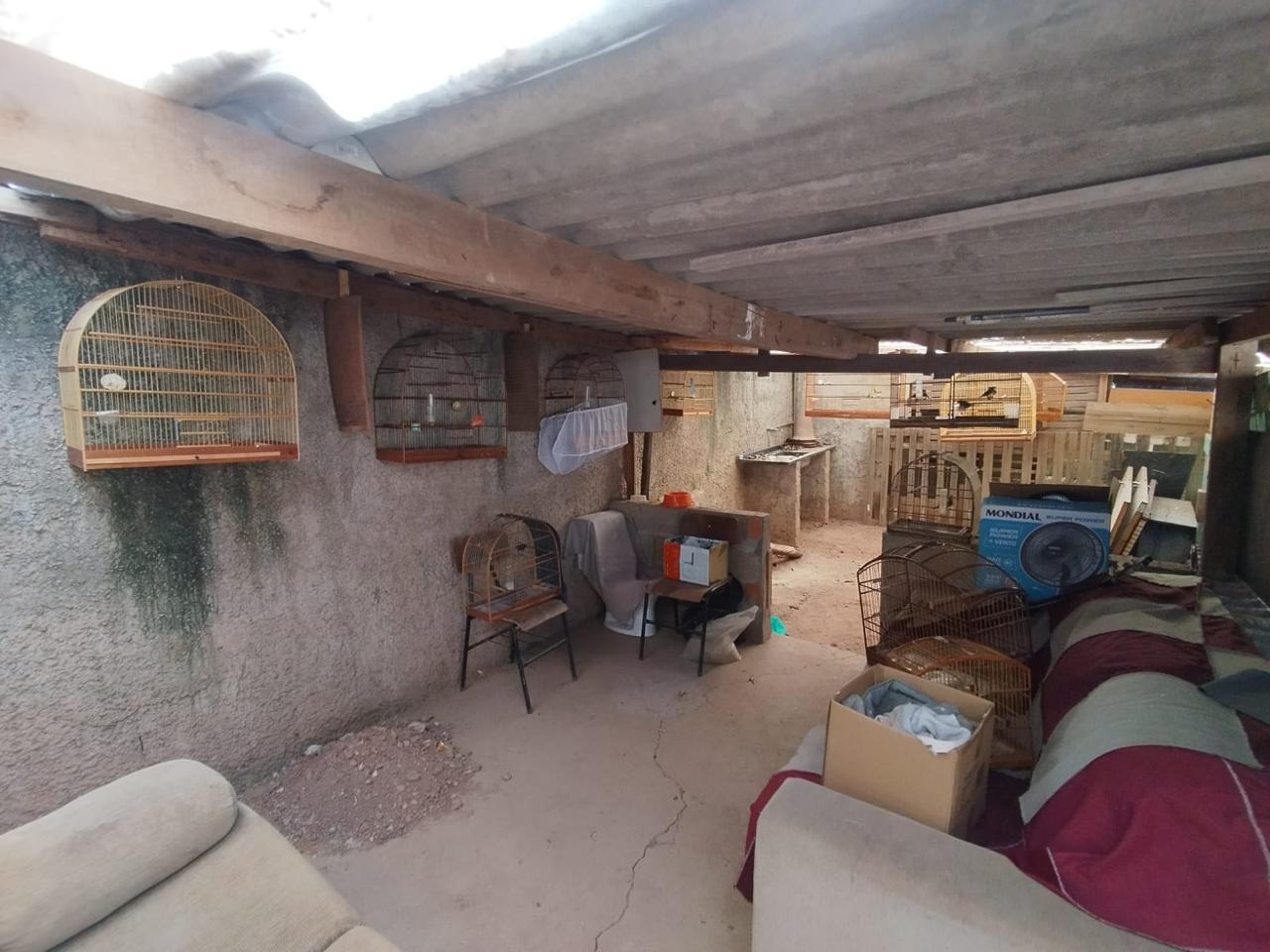 GCM Ambiental de São Bernardo flagra criação ilegal de aves silvestres e aplica multa de R$ 41 mil