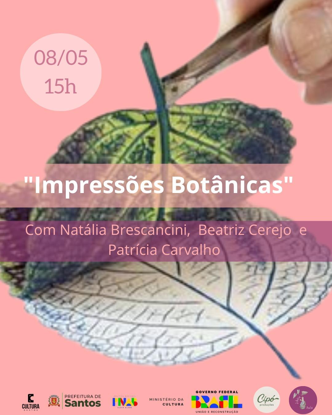 Arte, memória e natureza: fim de semana em Santos reúne experiências sensoriais e reflexivas gratuitas
