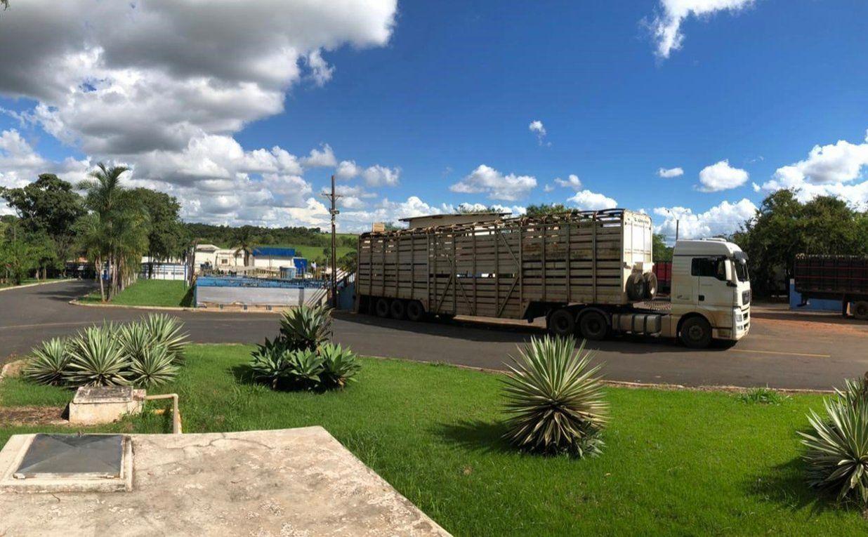 Frigorífico Santa Lúcia protocola pedido de Recuperação Judicial