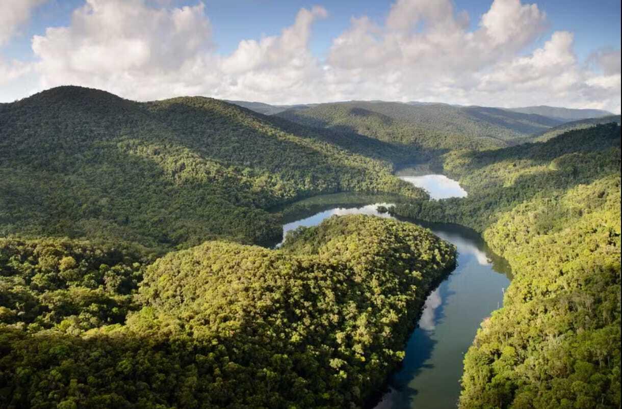 São Paulo registra queda de 29% no desmatamento da Mata Atlântica e alcança menor índice dos últimos anos