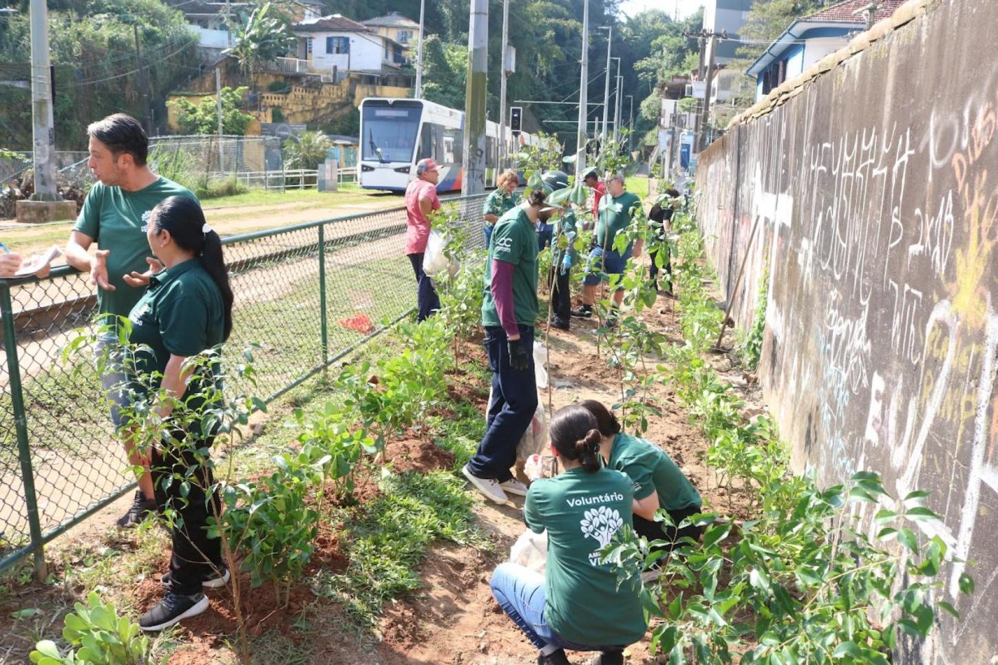 Mutirão transforma área próxima ao VLT com 250 mudas nativas em Santos