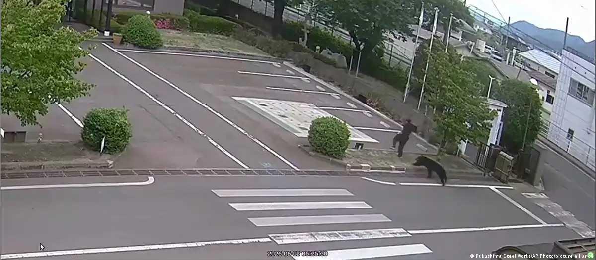 Urso ataca quatro pessoas em Fukushima, no Japão