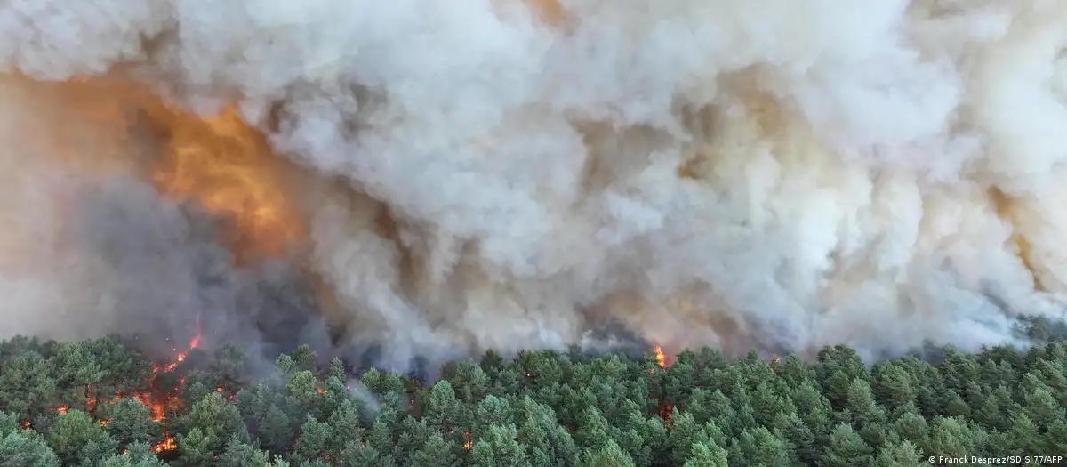 Incêndio devastador atinge floresta emblemática da França