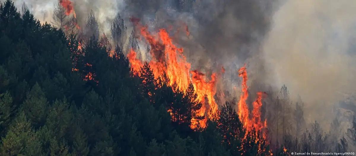 Incêndio florestal deixa ao menos 11 mortos na Espanha