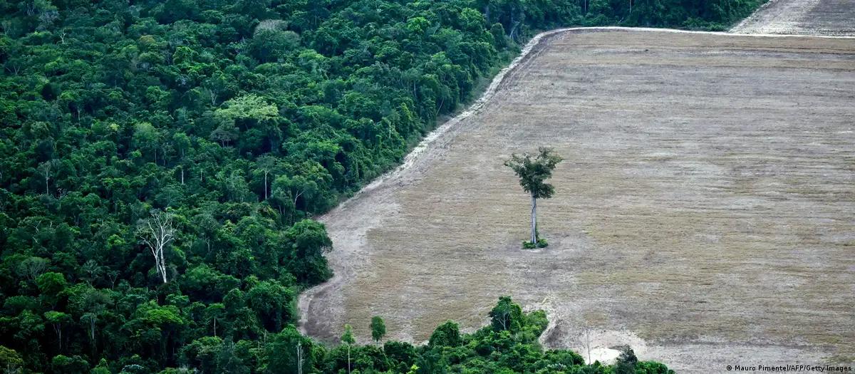 Mundo exaure a cota de recursos naturais na Terra para 2026
