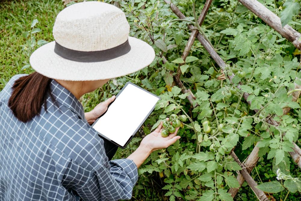 Sebrae-SP abre 16 vagas para programa gratuito de inovação rural na Baixada Santista