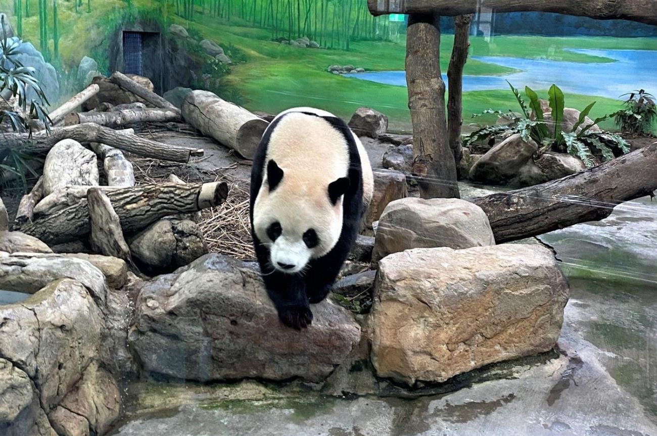 Taiwan conquista famílias com atrações que unem diversão, natureza e aprendizado para crianças 