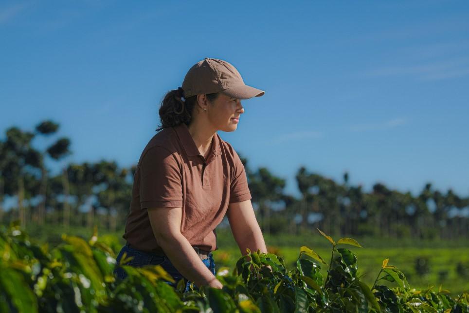 14º Prêmio Região do Cerrado Mineiro abre inscrições e lança nova premiação para cafeicultura regenerativa