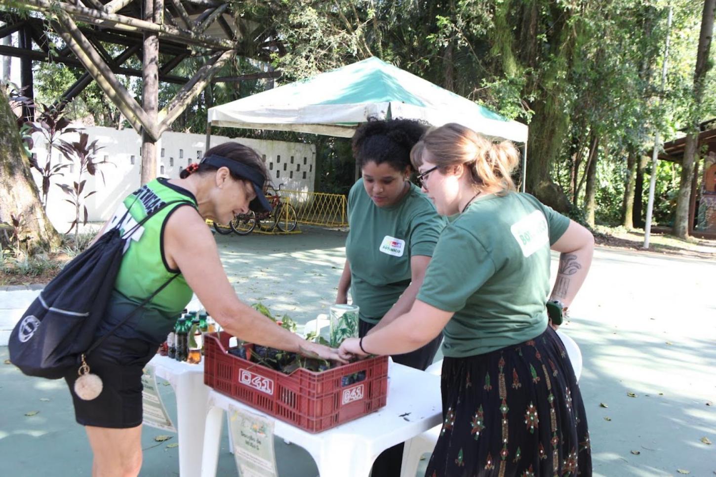 Jardim Botânico de Santos oferece mudas e biofertilizantes gratuitos