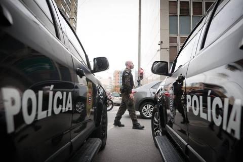 Noad apreende adolescente investigado por torturar mais de 200 gatos em lives