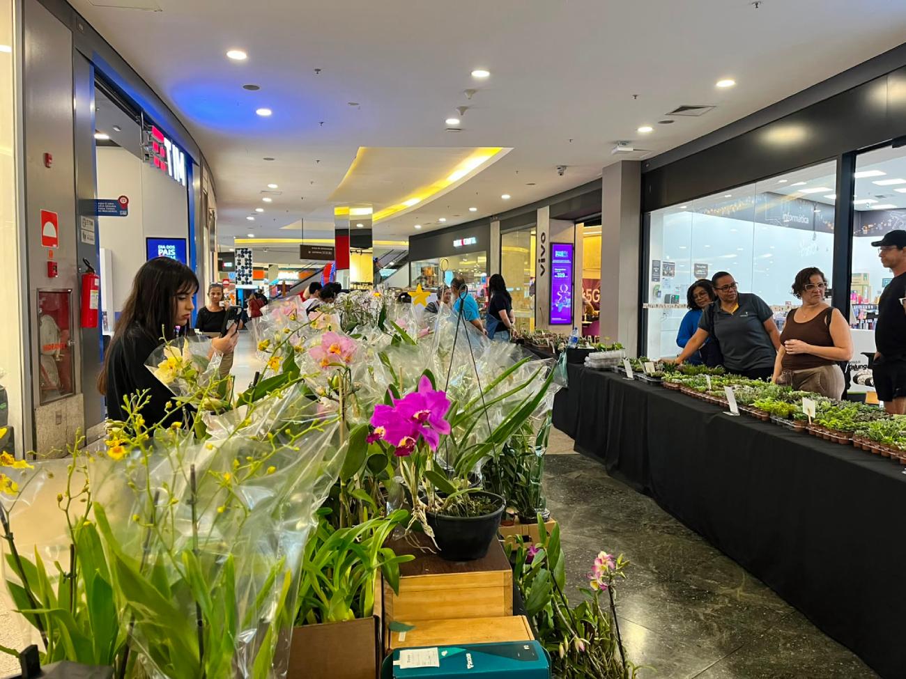 Festival de Primavera acontece no São Bernardo Plaza