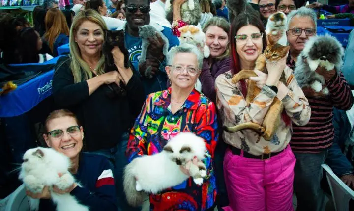 4ª Mostra de Gatos do Dr. Hato reúne algumas das raças felinas mais admiradas em Santo André