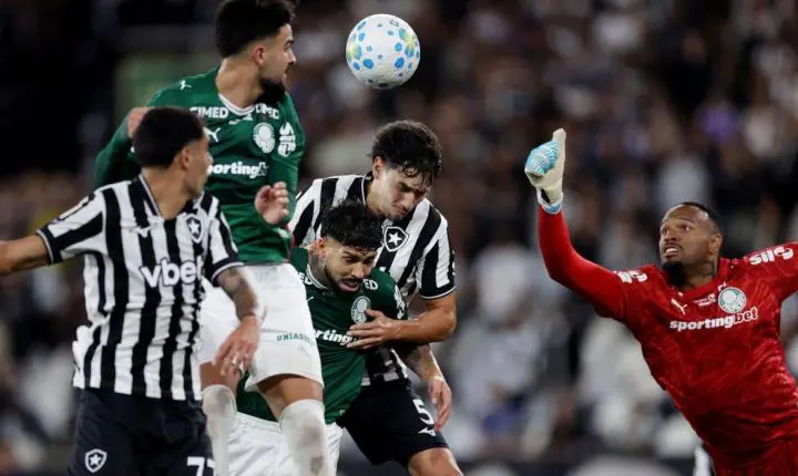 Botafogo segura Palmeiras e ajuda Flamengo, novo líder do Brasileirão 