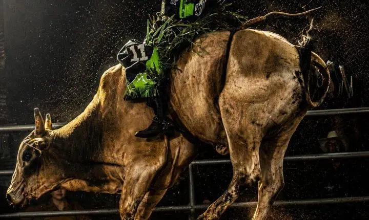 Caldas Rodeo será realizado em setembro com segunda rodada da Etapa Master 2027 da PBR
