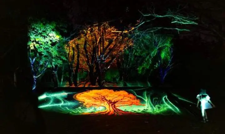 Cerrado Mapping Festival coloca Uberlândia na rota internacional da arte digital