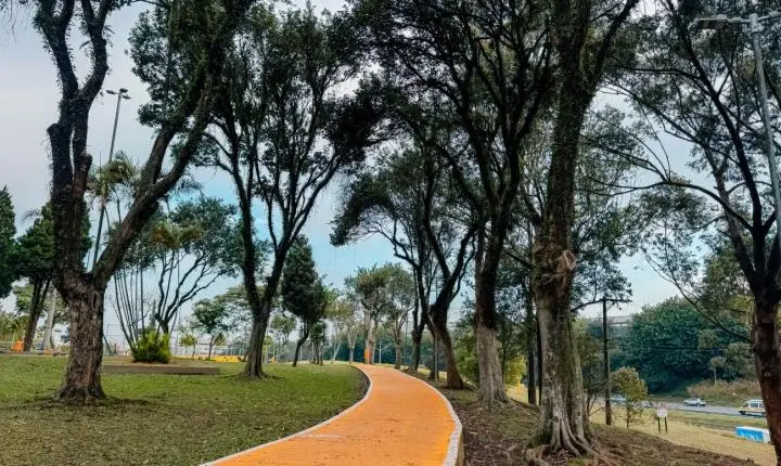 Em São Bernardo, Programa Cidade Linda de Viver já realizou manutenção em 248 praças e amplia ações de zeladoria