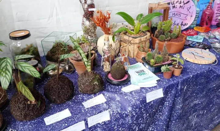 Evento de economia solidária, Feira de artesanato em São Bernardo traz opções de presentes para o Dia dos Namorados