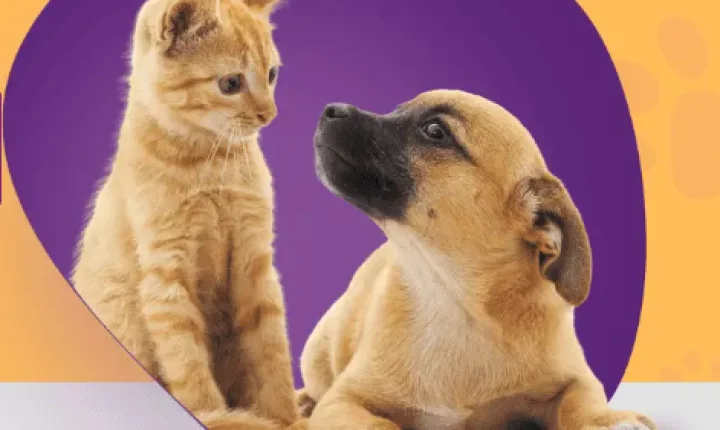 Feira no Uberlândia Shopping busca novos lares para animais resgatados