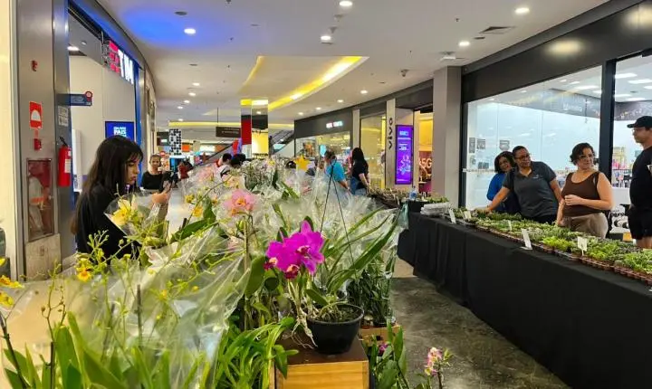 Festival de Primavera acontece no São Bernardo Plaza