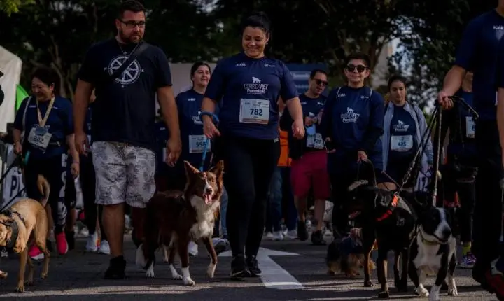 Grand Plaza abre inscrições para Cãominhada com atividades para pets e tutores