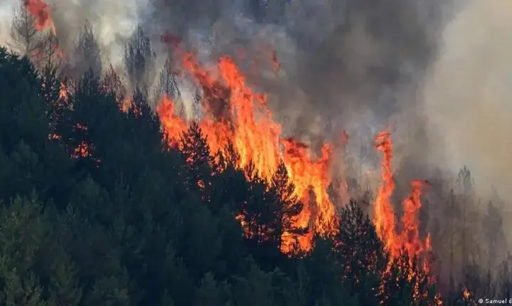 Incêndio florestal deixa ao menos 11 mortos na Espanha