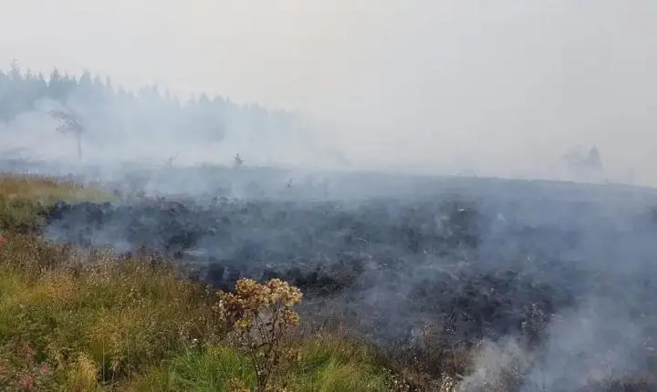 Incêndio na Bélgica já é o maior da história do país