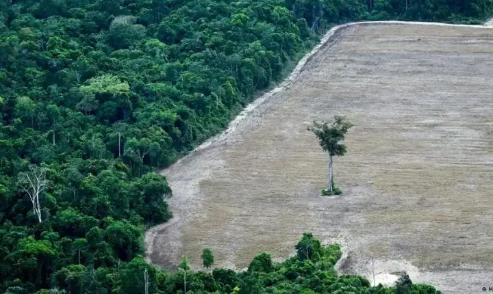 Mundo exaure a cota de recursos naturais na Terra para 2026
