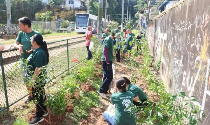 Mutirão transforma área próxima ao VLT com 250 mudas nativas em Santos