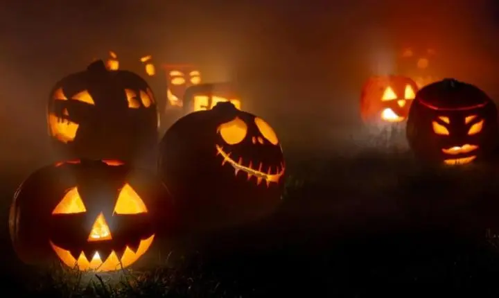 Pesquisa Sebrae-SP: 68% das MPEs afetadas de forma positiva pelo Halloween esperam aumento nas vendas