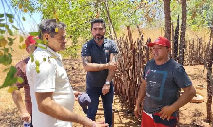 Projeto de avicultura familiar apoiado por empresa de Santo André prevê gerar R$ 55 mil por ciclo no sertão do Piauí