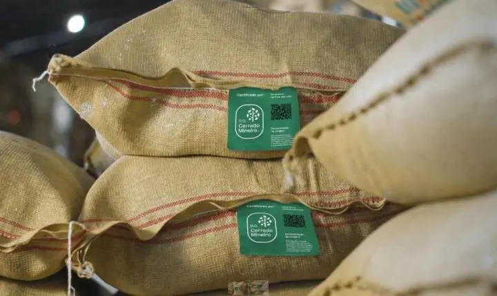 Região do Cerrado Mineiro certificou 420 mil sacas e alcançou 27 mercados internacionais na Safra 2025/2026