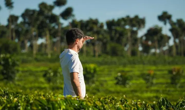 Região do Cerrado Mineiro lança internacionalmente nova estratégia de marca na World of Coffee Brussels 2026
