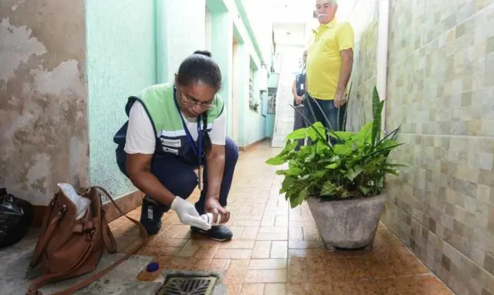 São Bernardo tem menor incidência de dengue da Grande SP entre cidades com mais de 300 mil habitantes