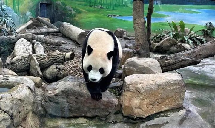 Taiwan conquista famílias com atrações que unem diversão, natureza e aprendizado para crianças 